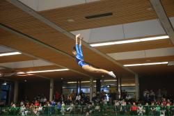 LTV-Pokal