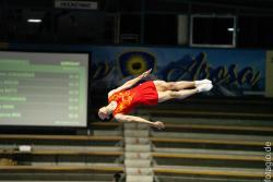 TIM01584